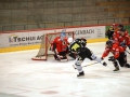 1dsc00090_ergebnis