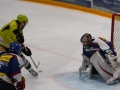 DSC00173 (1)