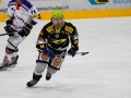 1dsc06375-1_ergebnis