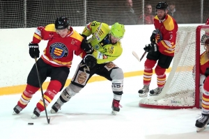 EHC Bucheggberg vs. EHC Rheinfelden 26.02.19, 1. Finalspiel