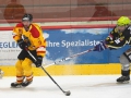 1dsc09260_ergebnis_ergebnis