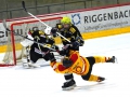 1dsc09280_ergebnis_ergebnis