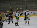 dsc07661-1_ergebnis