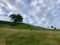 IMG-20190611-WA0004