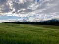 IMG-20190611-WA0007
