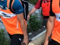 IMG-20190705-WA0029_ergebnis